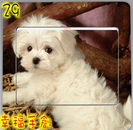 賣!!!!!!可愛開關貼