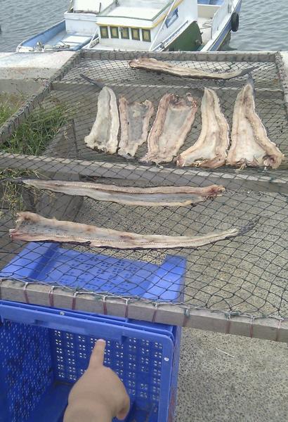 鰻魚乾