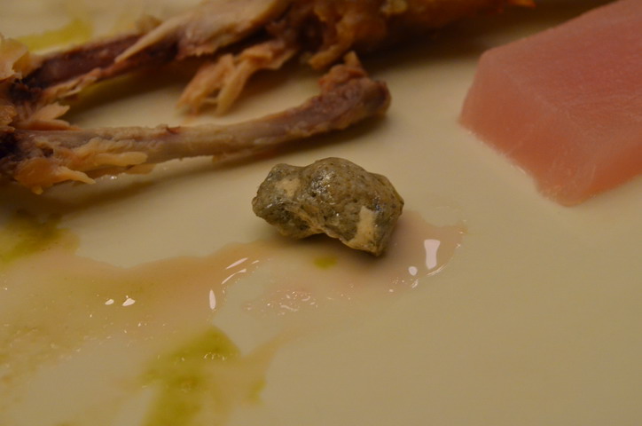 DSC_5172.jpg